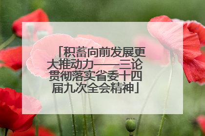 积蓄向前发展更大推动力——三论贯彻落实省委十四届九次全会精神