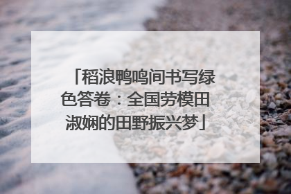 稻浪鸭鸣间书写绿色答卷：全国劳模田淑娴的田野振兴梦
