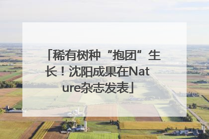 稀有树种“抱团”生长！沈阳成果在Nature杂志发表