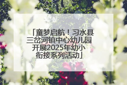 童梦启航！习水县三岔河镇中心幼儿园开展2025年幼小衔接系列活动