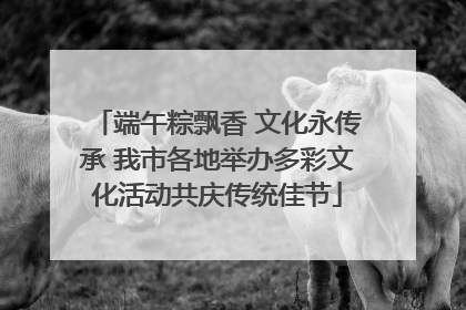 端午粽飘香 文化永传承 我市各地举办多彩文化活动共庆传统佳节