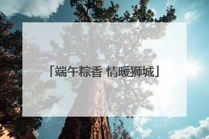 端午粽香 情暖狮城