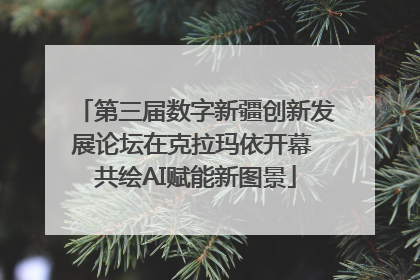 第三届数字新疆创新发展论坛在克拉玛依开幕 共绘AI赋能新图景