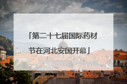 第二十七届国际药材节在河北安国开幕