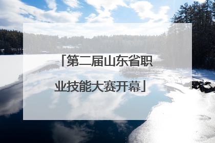 第二届山东省职业技能大赛开幕