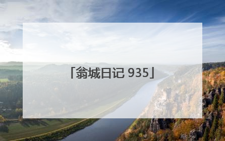 翁城日记 935