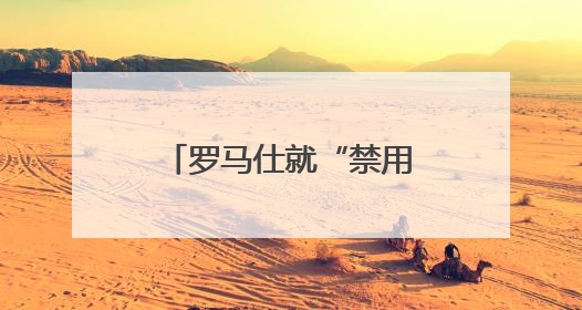 罗马仕就“禁用”事件发声明：任何经权威机构鉴定存在缺陷的产品，将依法负全责