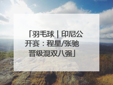 羽毛球｜印尼公开赛：程星/张驰晋级混双八强