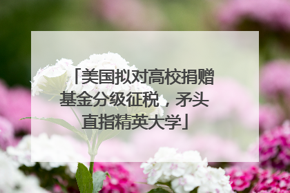 美国拟对高校捐赠基金分级征税，矛头直指精英大学