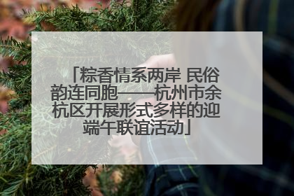 粽香情系两岸 民俗韵连同胞——杭州市余杭区开展形式多样的迎端午联谊活动