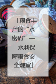 粮食丰产的“水密码”——水利保障粮食安全观察