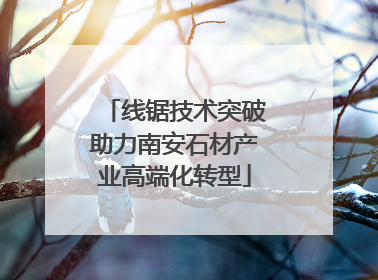 线锯技术突破助力南安石材产业高端化转型
