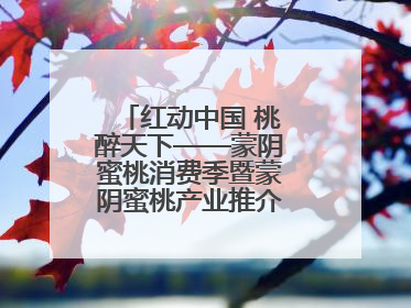 红动中国 桃醉天下——蒙阴蜜桃消费季暨蒙阴蜜桃产业推介会成功举办