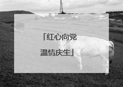 红心向党 温情庆生