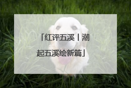 红评五溪丨潮起五溪绘新篇