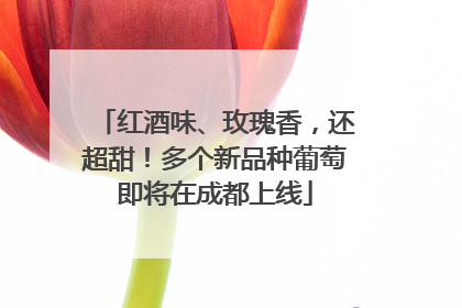 红酒味、玫瑰香，还超甜！多个新品种葡萄即将在成都上线