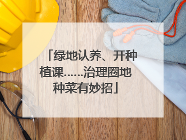 绿地认养、开种植课……治理圈地种菜有妙招