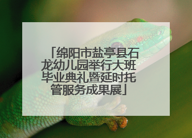 绵阳市盐亭县石龙幼儿园举行大班毕业典礼暨延时托管服务成果展