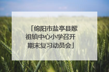 绵阳市盐亭县嫘祖镇中心小学召开期末复习动员会