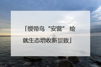 绶带鸟“安营” 绘就生态增收新景致