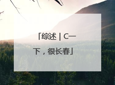 综述｜C一下，很长春