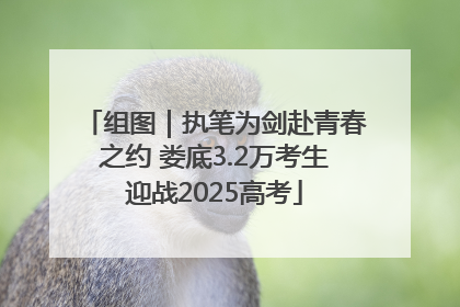 组图｜执笔为剑赴青春之约 娄底3.2万考生迎战2025高考