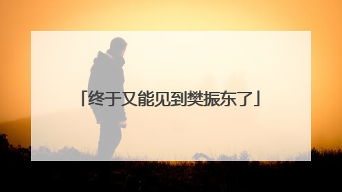 终于又能见到樊振东了