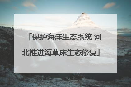 保护海洋生态系统 河北推进海草床生态修复