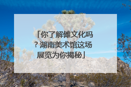 你了解傩文化吗？湖南美术馆这场展览为你揭秘