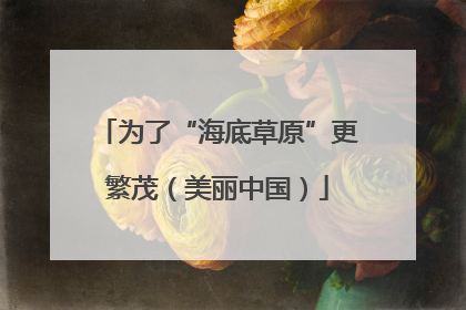 为了“海底草原”更繁茂（美丽中国）