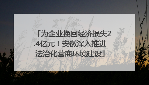 为企业挽回经济损失2.4亿元！安徽深入推进法治化营商环境建设