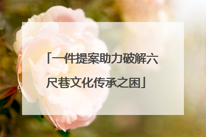 一件提案助力破解六尺巷文化传承之困