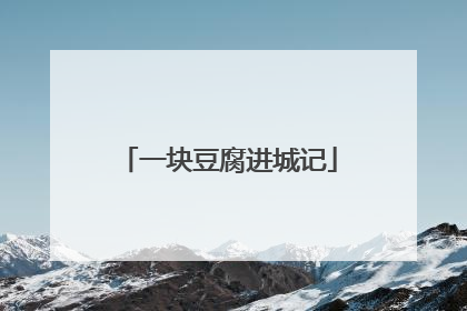 一块豆腐进城记