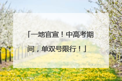 一地官宣！中高考期间，单双号限行！