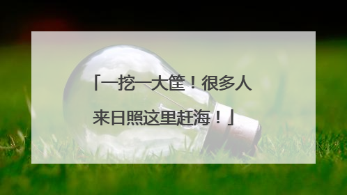 一挖一大筐！很多人来日照这里赶海！