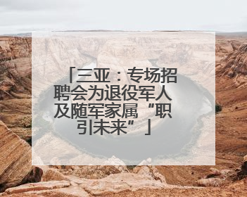 三亚：专场招聘会为退役军人及随军家属“职引未来”