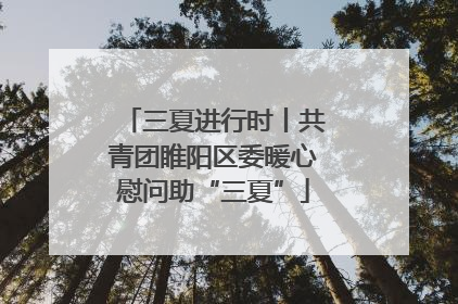 三夏进行时丨共青团睢阳区委暖心慰问助“三夏”