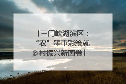 三门峡湖滨区：“农”墨重彩绘就乡村振兴新画卷