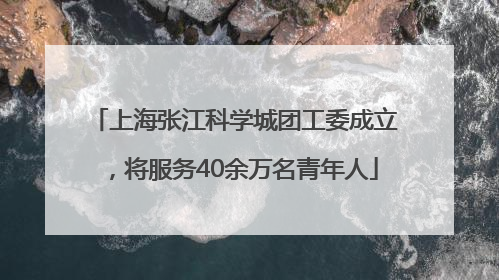 上海张江科学城团工委成立，将服务40余万名青年人