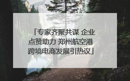 专家齐聚共谋 企业点赞助力 郑州航空港跨境电商发展引热议