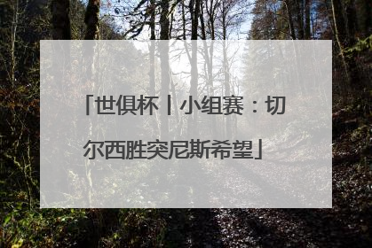 世俱杯丨小组赛：切尔西胜突尼斯希望