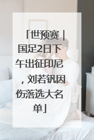 世预赛｜国足2日下午出征印尼，刘若钒因伤落选大名单