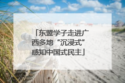 东盟学子走进广西多地“沉浸式”感知中国式民主