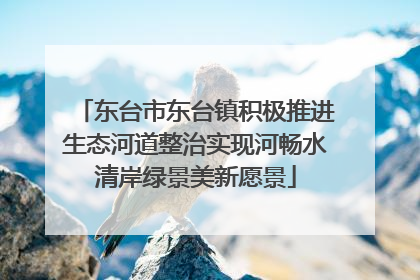 东台市东台镇积极推进生态河道整治实现河畅水清岸绿景美新愿景