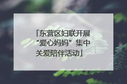 东营区妇联开展“爱心妈妈”集中关爱陪伴活动