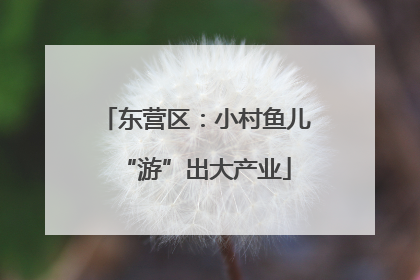 东营区：小村鱼儿“游”出大产业