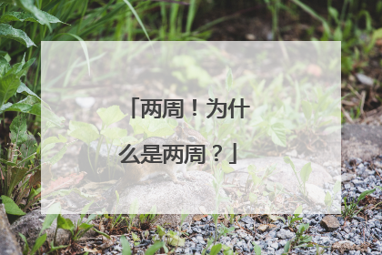 两周！为什么是两周？
