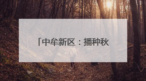 中牟新区：播种秋作物53万余亩 科技赋能丰收在望
