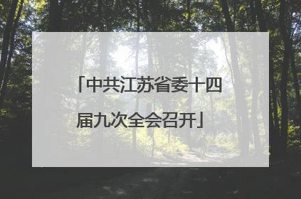 中共江苏省委十四届九次全会召开