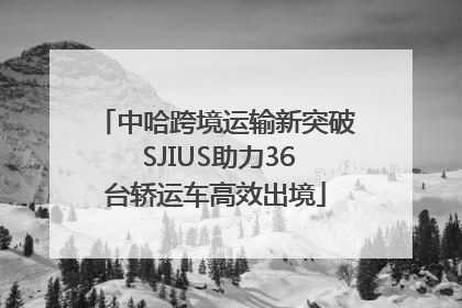 中哈跨境运输新突破 SJIUS助力36台轿运车高效出境